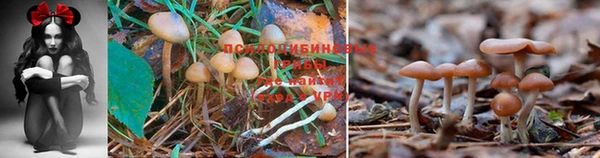 МДМА Пролетарск