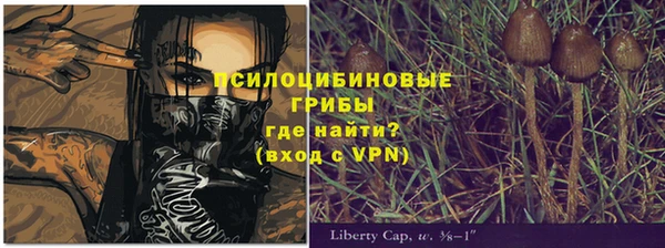 амф Приозерск