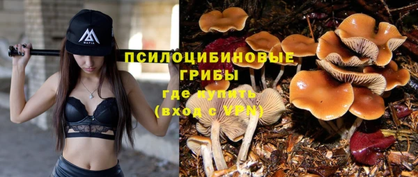 амф Приозерск