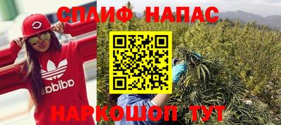 ПСИЛОЦИБИНОВЫЕ ГРИБЫ Коммунар