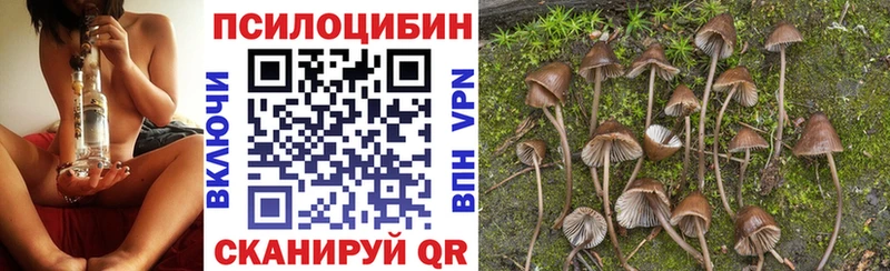 Псилоцибиновые грибы ЛСД Снежинск