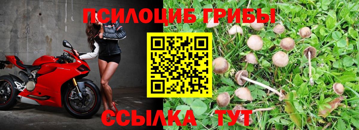 Галлюциногенные грибы мицелий  Вход с VPN  Галлюциногенные грибы прущие грибы  Снежинск 